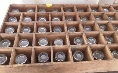 Caisse & verres à Cynar